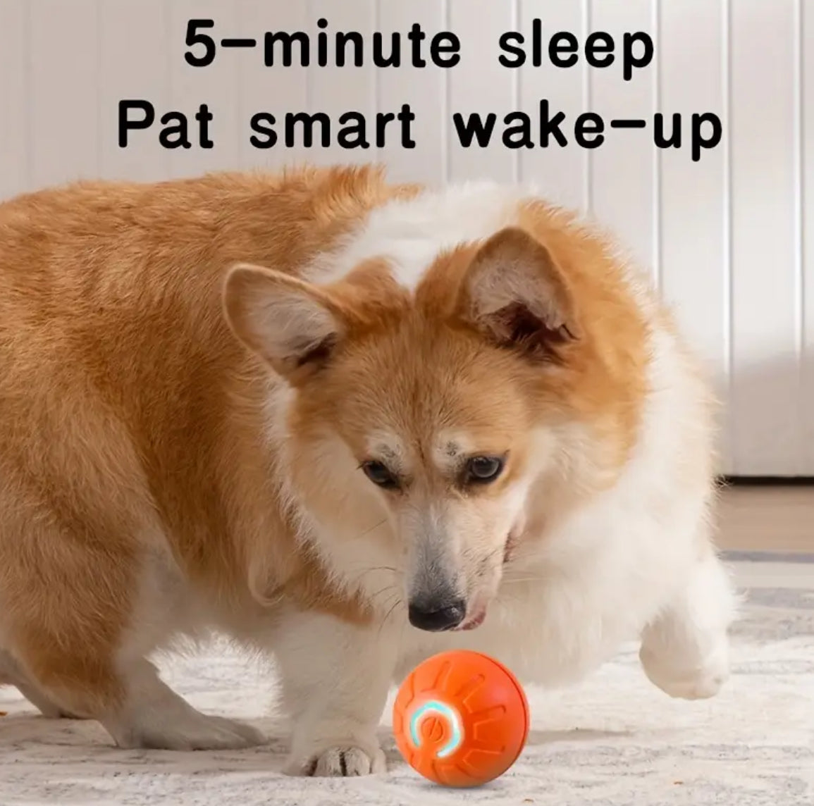 Interactive Electric Jumping Ball Dog Toy