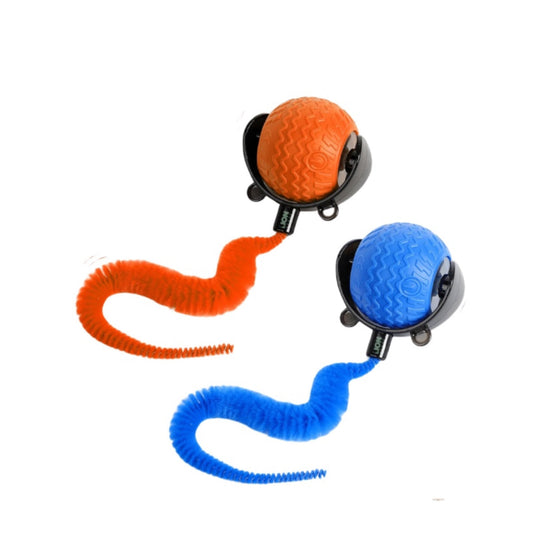 Smart Interactive Toy