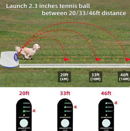 Automatic Dog Ball Launcher