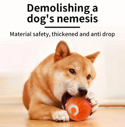 Interactive Electric Jumping Ball Dog Toy