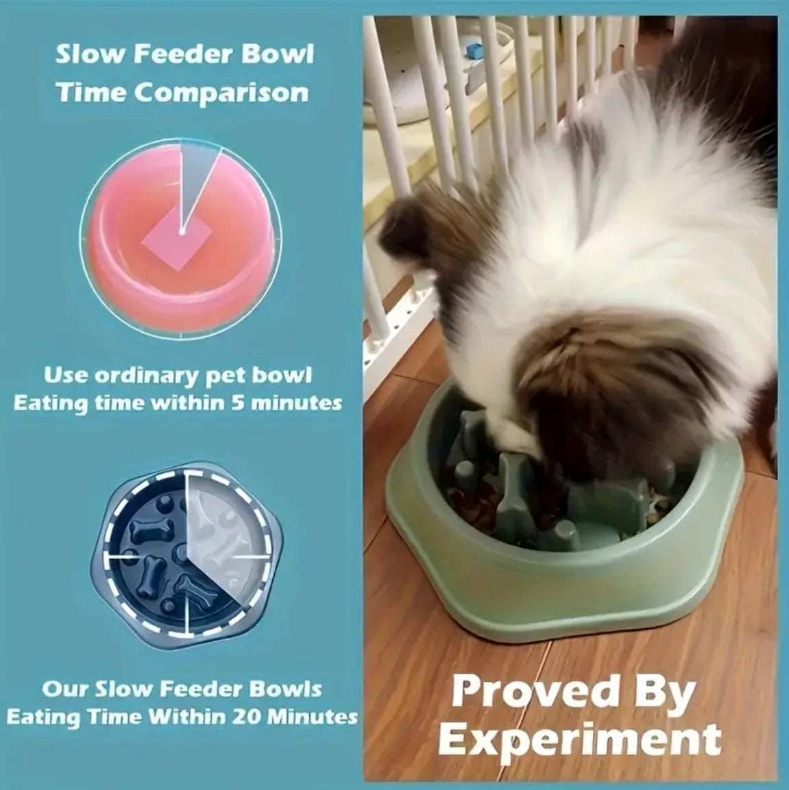 Slow Feeder Bowl