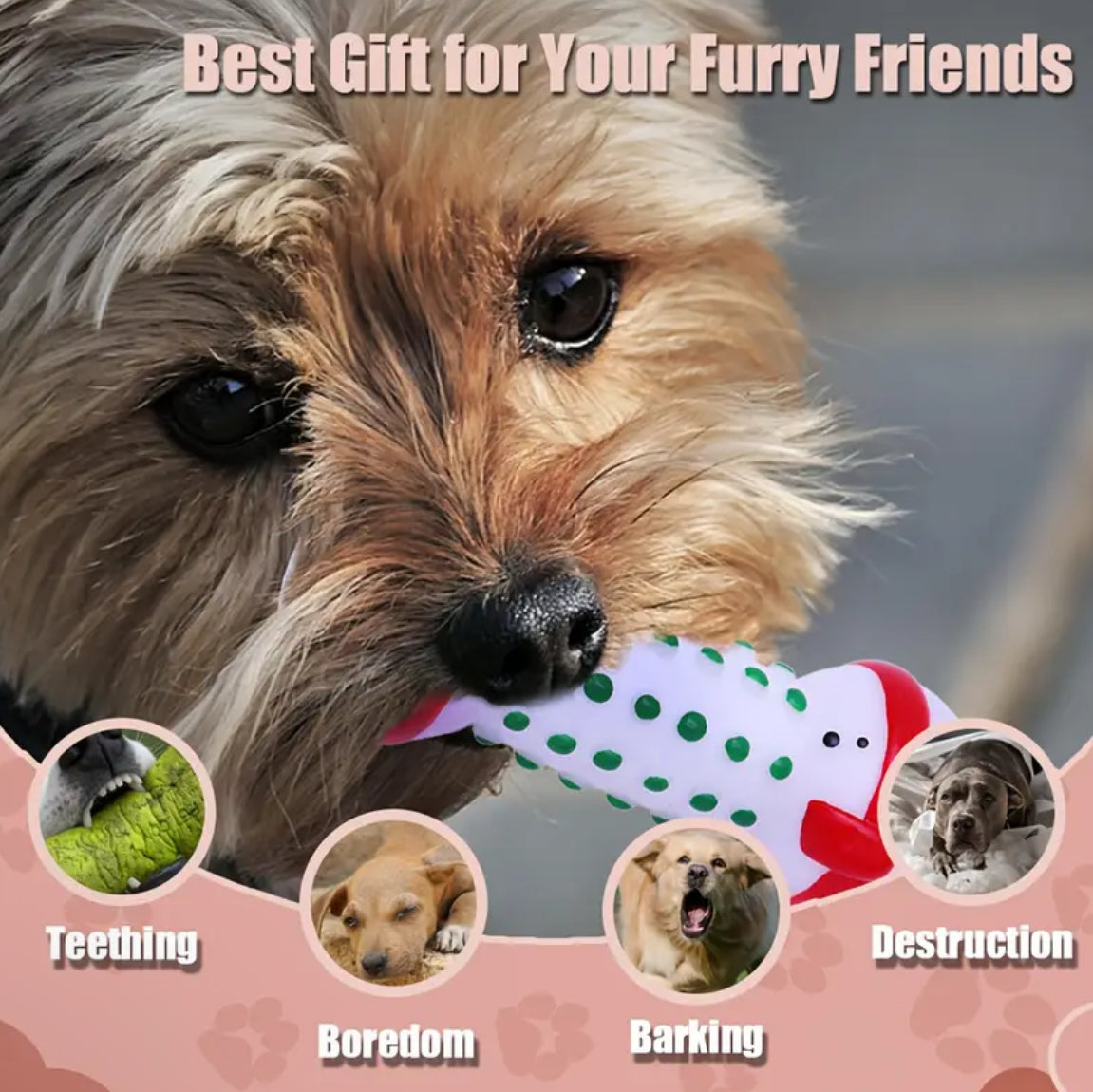 Christmas series dog squeaky dumbbells