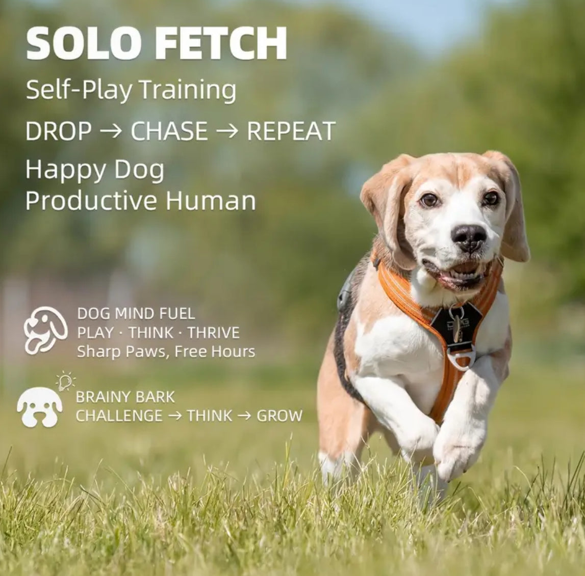 Automatic Dog Ball Launcher