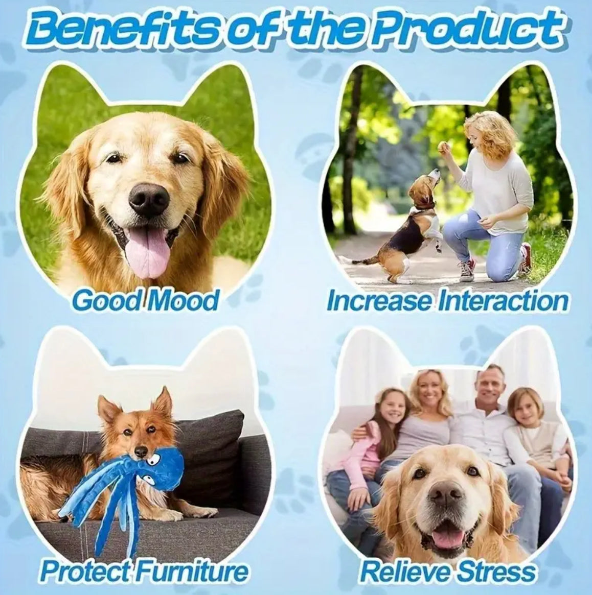 3pcs random Bite-Resistant Dog Toy Set