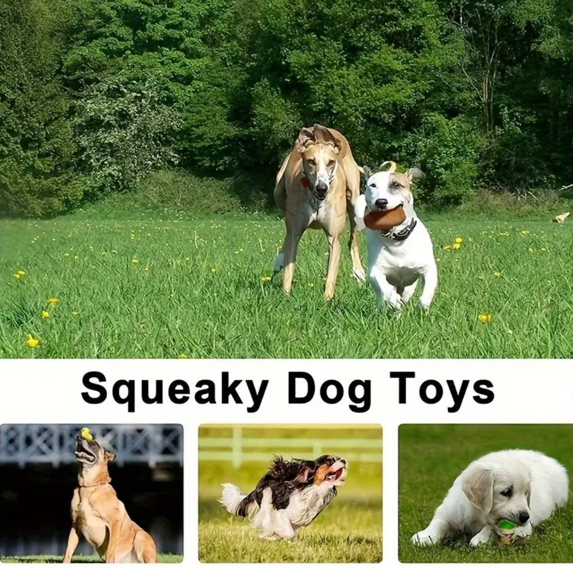 3pcs random Bite-Resistant Dog Toy Set