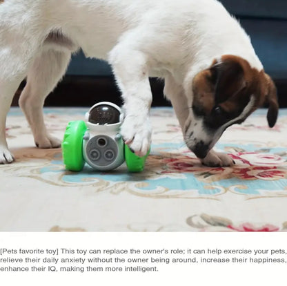 Interactive Pet Toy for Dogs