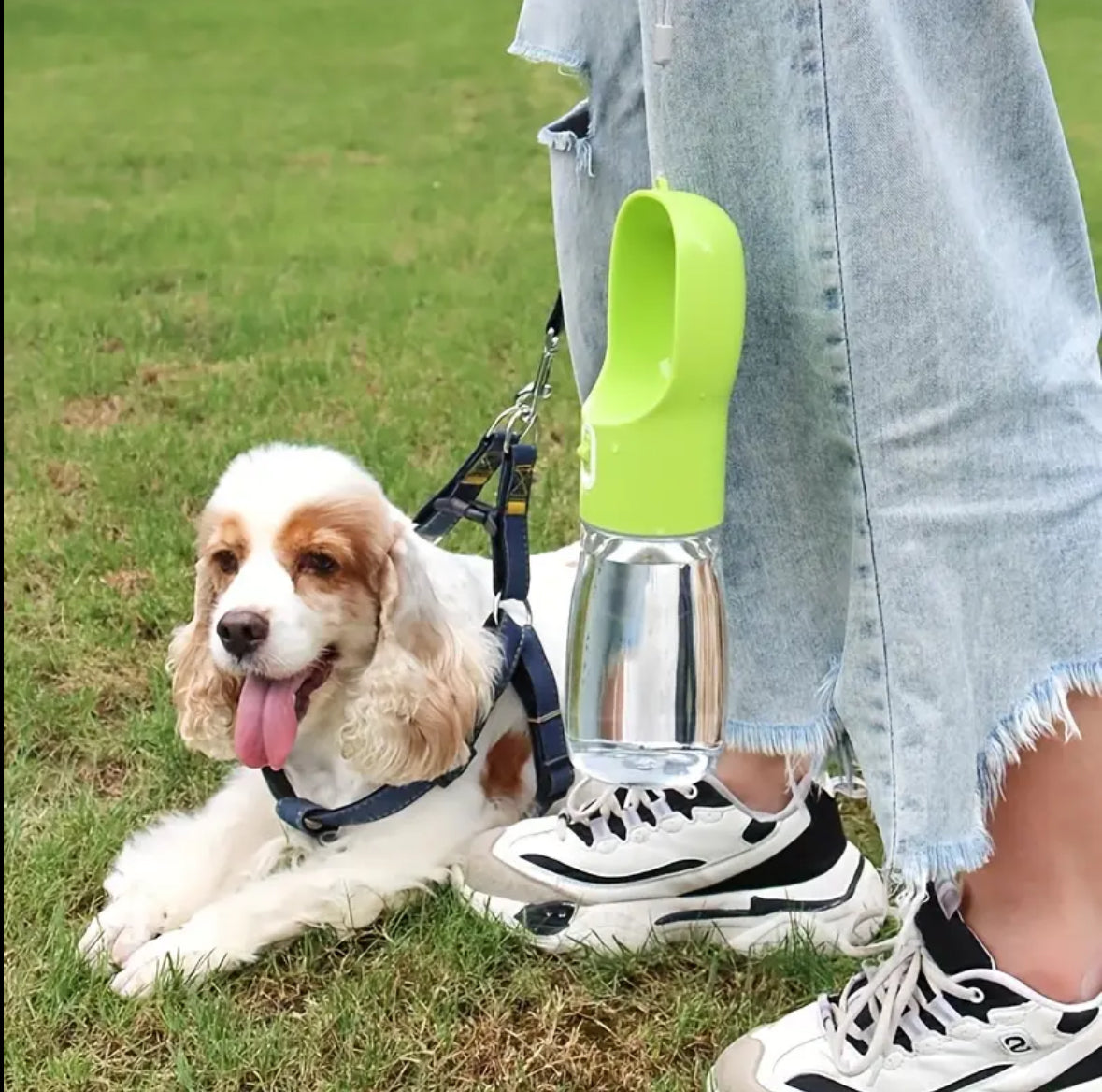 Leakproof Portable Dog Water Bottle