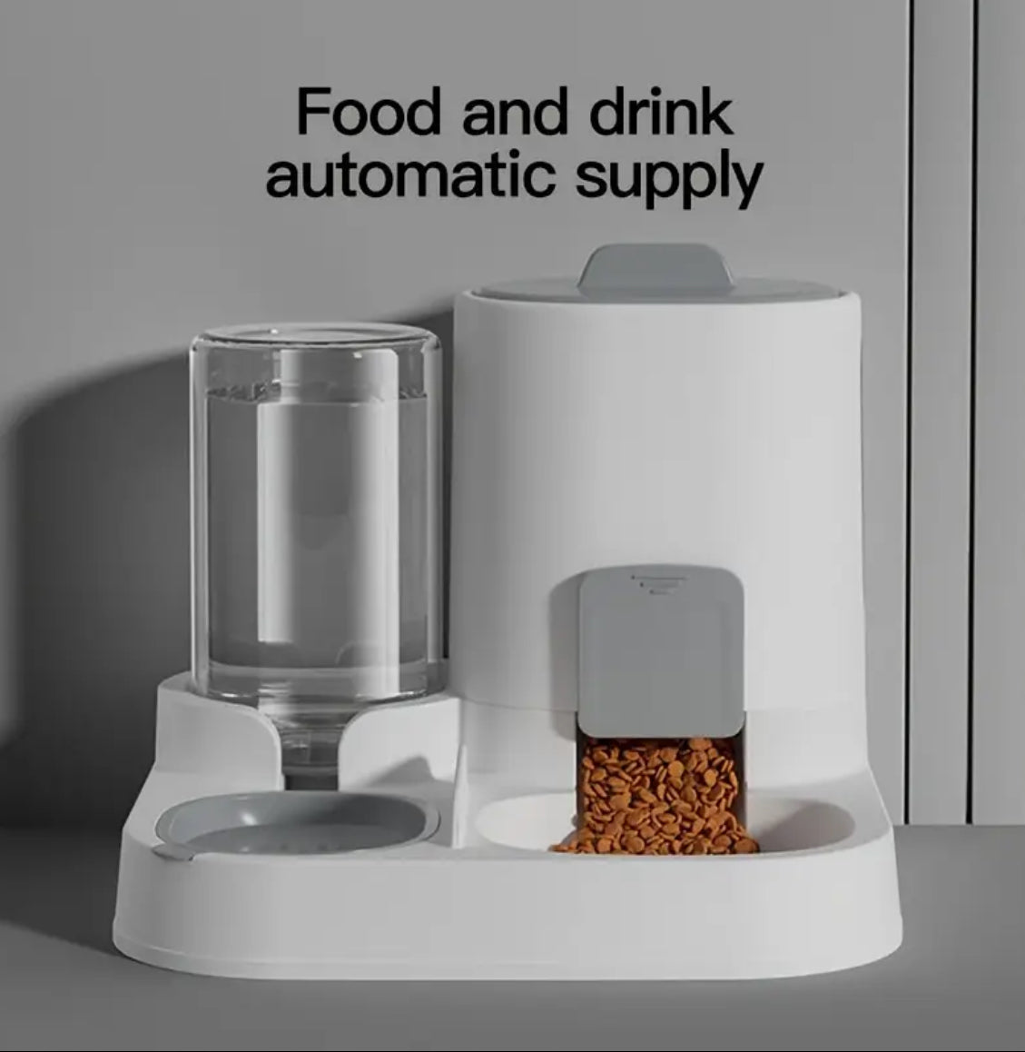 Automatic Dog Feeder
