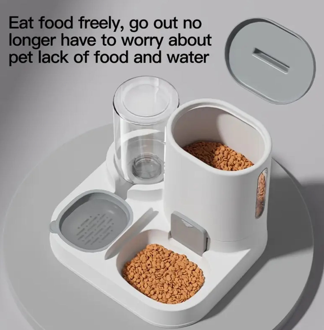 Automatic Dog Feeder